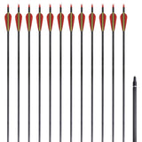 Arrows Vidaxl pour la norme de réapprovisionnement 30 0,76 cm de carbone 12 pièces