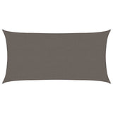 Vidaxl Sunshade HDPE rectangulaire 2x4 m anthracite