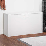 Vidaxx armoire à chaussures 80x24x45 cm blanc