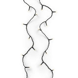 Lumineo LED cordon 720 LED 5400 cm noir lumière blanc chaud