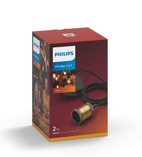 Philips LED Philips Vintage Cordon 1x60W Or