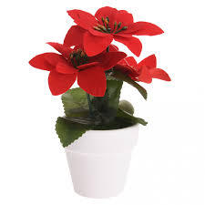 Autres marques Plante de Noël pot rouge en céramique