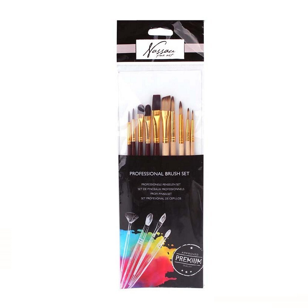 Nassau pinceaux professionnels 10 pièces