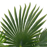 Vidaxl Plante artificielle avec pot de paume à 70 cm vert