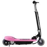 Vidaxl Step Electric 120 W rose