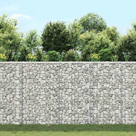 Vidaxl Gabion Planification trapézoïde de Buck 100x20x100 cm en acier galvanisé