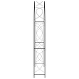 Vidaxl jardin arc 150x34x240 cm de fer noir