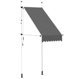 Vidaxl luifel extensible manuellement 100 cm anthracite