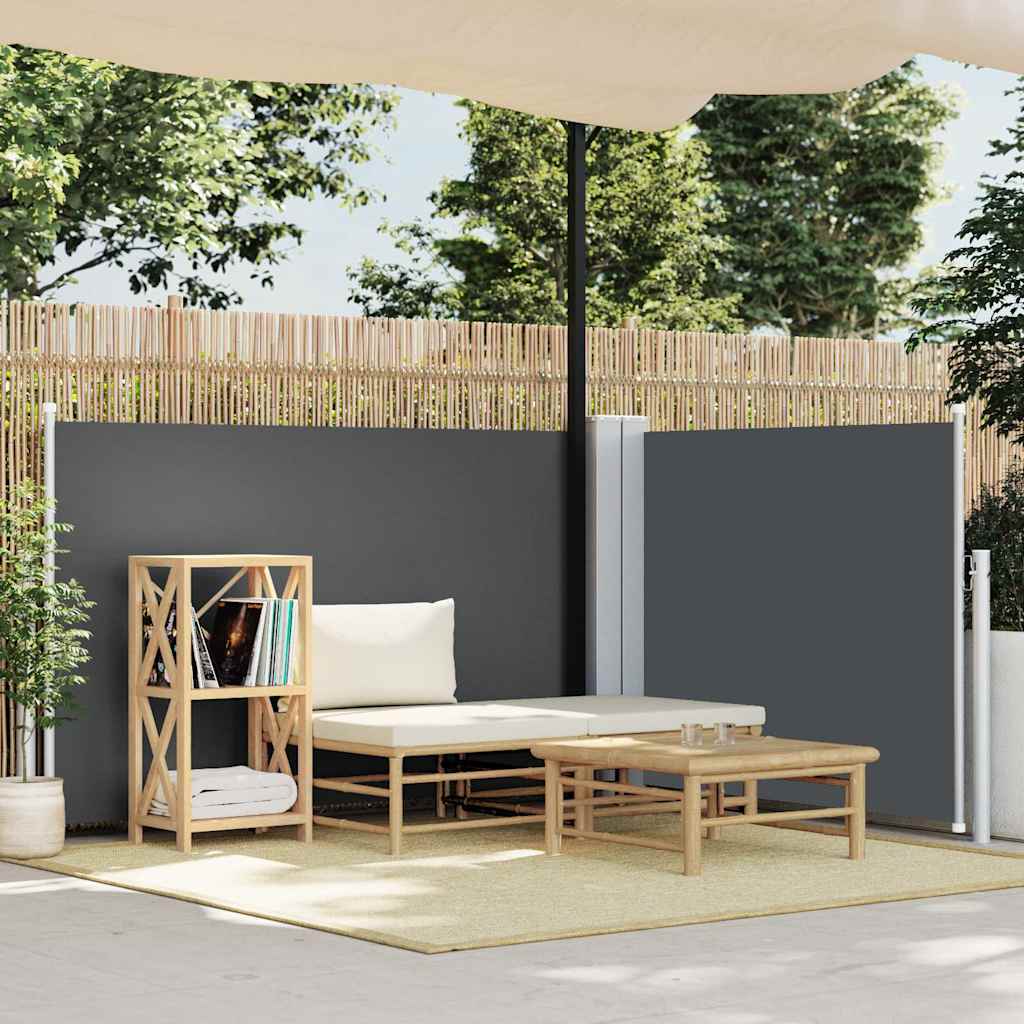 Vidaxx pare-vent extensible 120x600 cm anthracite