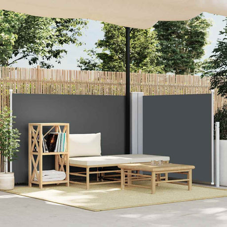 Pare-brise vidaxl extensible 120x1000 cm anthracite
