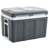 Vidaxl Cool Box portable thermoélectrique 12 V 230 V E 40 L