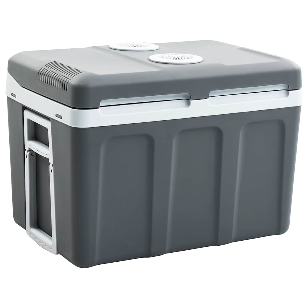 Vidaxl Cool Box termoelettricamente portatile 12 V 230 V E 40 L