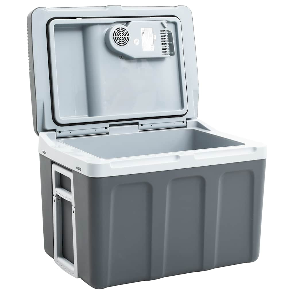 Vidaxl Cool Box termoelettricamente portatile 12 V 230 V E 40 L