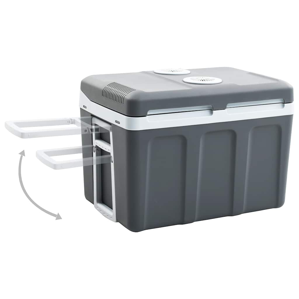 Vidaxl Cool Box termoelettricamente portatile 12 V 230 V E 40 L