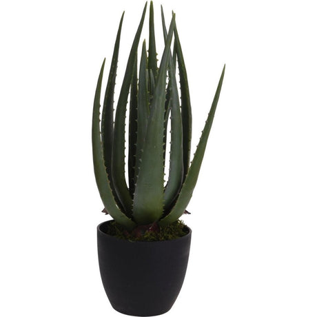 Autres marques plante artificielle aloe vera 25x45 cm vert