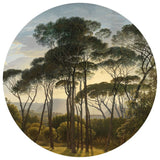 Wallart Wallart Wallow Circle Regenschirmkiefern in Italien 190 cm