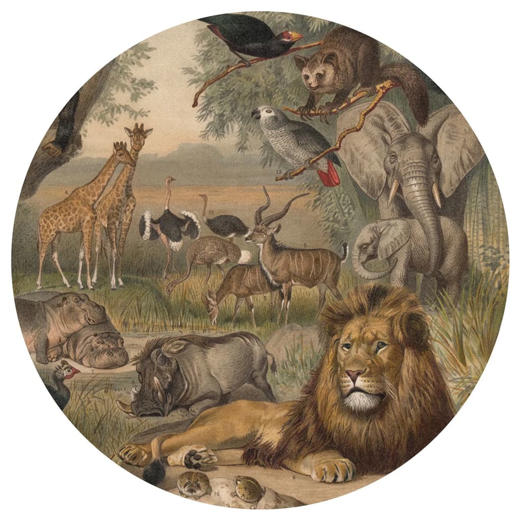 Wallart Wallart Wallow Circle Animaux d'Afrique 142,5 cm