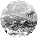 Wallart Wallart Wallaw Circle Landscape of Guadeloupe 190 cm