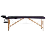 Vidaxl Massage Table Colpobile 2 zone Black