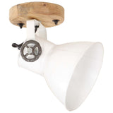 Vidaxl Wall ceiling lamps Industrial 2 st e27 20x25 cm white