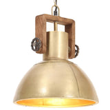 VidaXL lampe à suspension industrielle ronde 25 w E27 30 cm couleur laiton