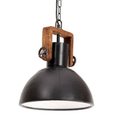Vidaxx lampe suspendue industrielle ronde 25 w e27 30 cm noir