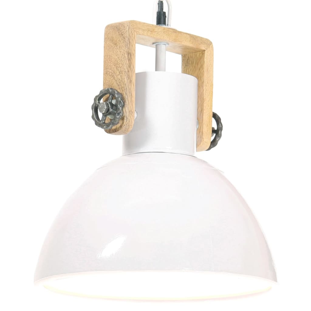 Vidaxl Hanging Lamp Industrial Rundt 25 w e27 30 cm hvit