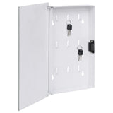 Vidaxl Key Cabinet con scheda magnetica 30x20x4 cm bianco