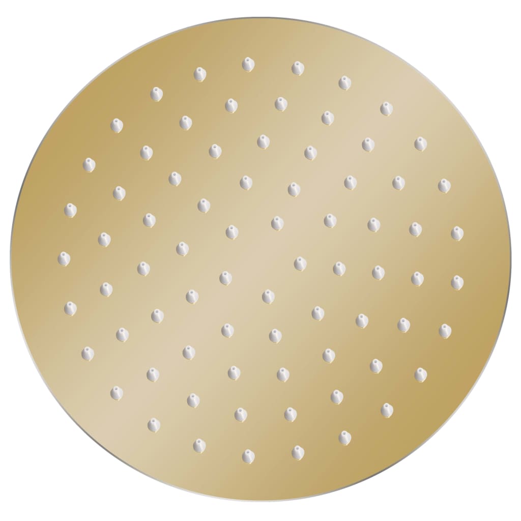 VidaXL Rain shower head Round 20 cm Stainless steel gold colored