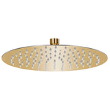 Vidaxl Pluie Shower Head Round 25 cm en acier inoxydable or couleur or