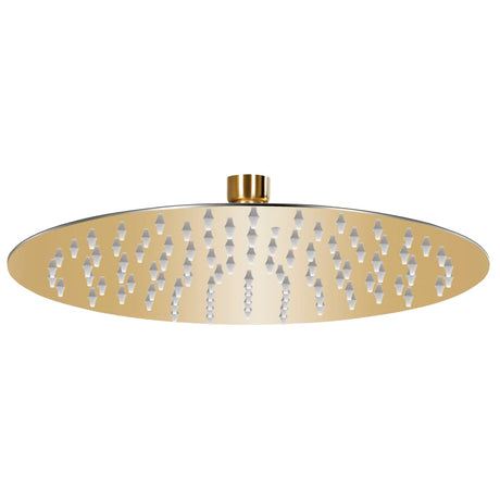 Vidaxl Pluie Shower Head Round 25 cm en acier inoxydable or couleur or