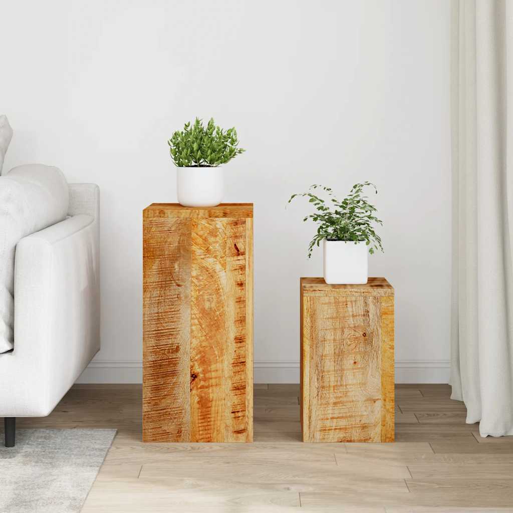 Estándares de plantas Vidaxl 2 PCS Madera de mango sólido