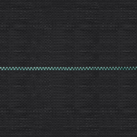 Vidaxl Carrot Cloth 2x100 m pp noir