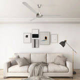 Ventilateur de plafond vidaxl 142 cm de couleur argentée