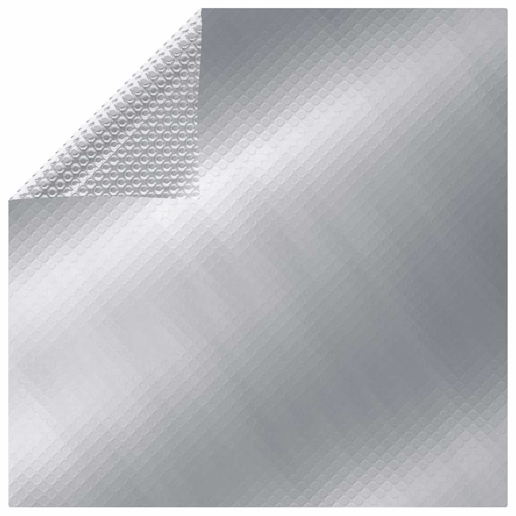 COUVERTURE DE LA PAOBLE VIDAXL 260X160 CM PE Silver Colored