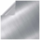 COUVERTURE DE LA PAOBLE VIDAXL 260X160 CM PE Silver Colored