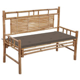 Vidaxl tuinbank met kussen 120 cm bamboe