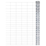 Vidaxl hek 50x1,25 m Galvanisé en acier argent coloré