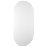 Vidaxl Mirror 100x50 cm Verre
