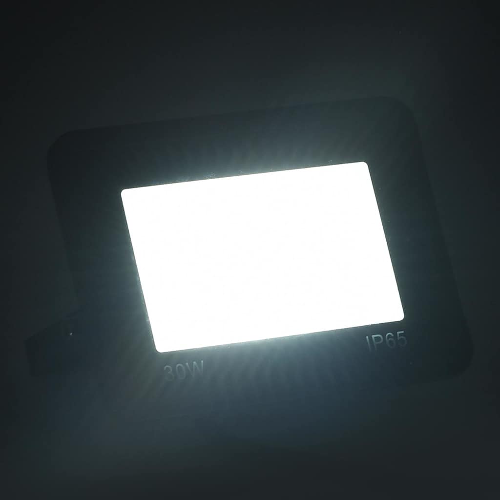 Vidaxl Spotlight LED 30 W Cold White