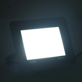Vidaxl Spotlight LED 50 W Blanc froid