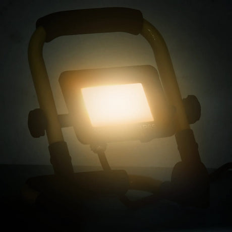 Vidaxl Spotlight avec poignée LED 20 W Blanc chaud