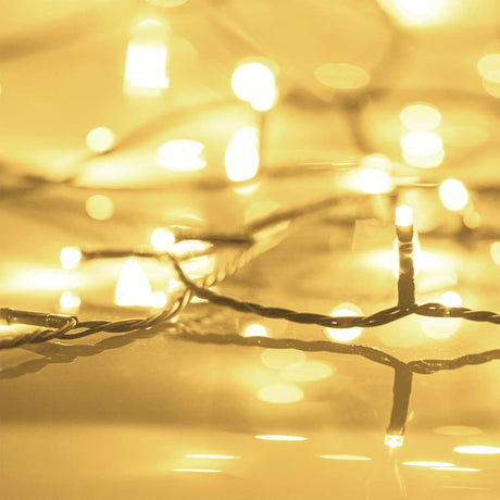 Vidaxl Garland léger avec 300 LEDS 30 M PVC WHITE CHAUD