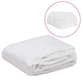 Vidaxl Kashoes remplacement (13,5 m²) 3x4,5x2 m transparent