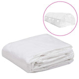 Vidaxl Kashoes remplacement (18 m²) 3x6x2 m transparent