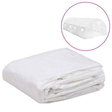 Vidaxl Kashoes remplacement (18 m²) 3x6x2 m transparent
