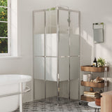 VidaXL shower cubicle 70x70x180 cm ESG