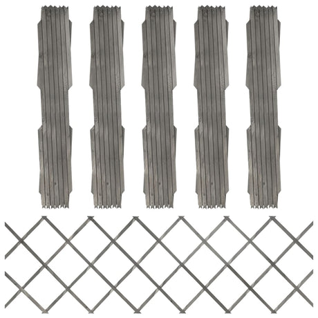 Vidaxl Garden Slat Works 5 ST 180X60 cm Pine Solid Grey