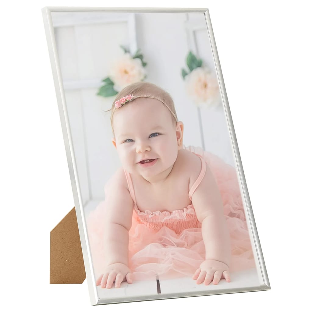 Vidaxl Photo Frames 5 PCS pour le tableau 21x29.7 cm MDF en argent coloré