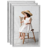 Vidaxl Photo Frames 3 PCS pour le tableau 21x29.7 cm Couleur en argent